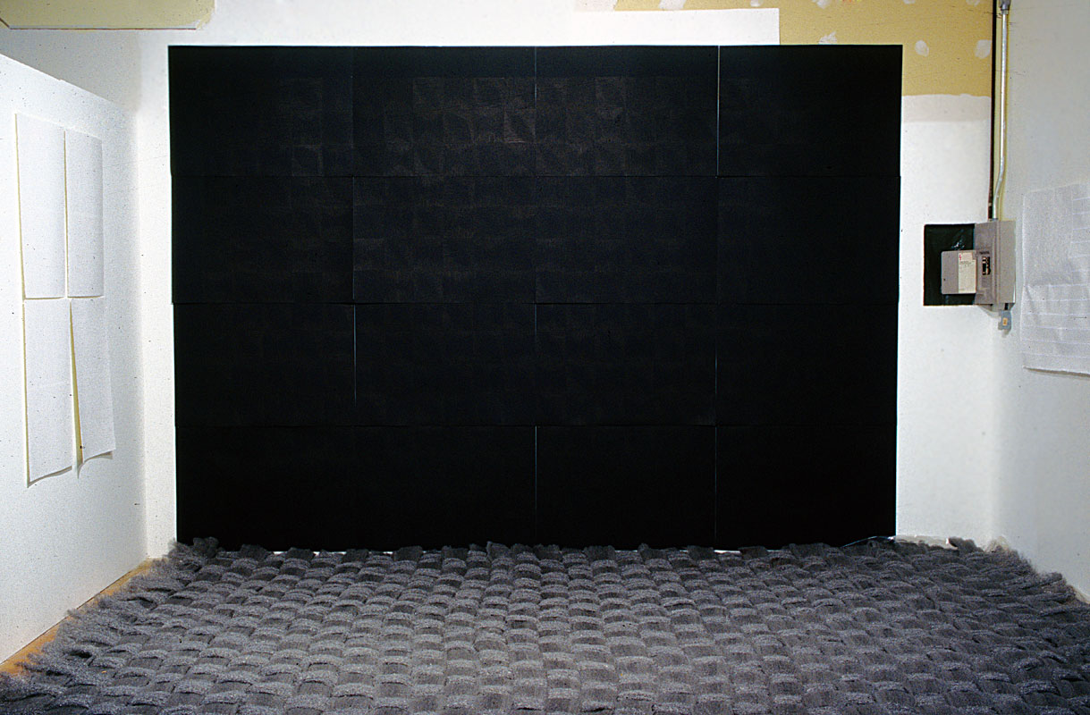 Untitled Room, Brush Marks & Rug