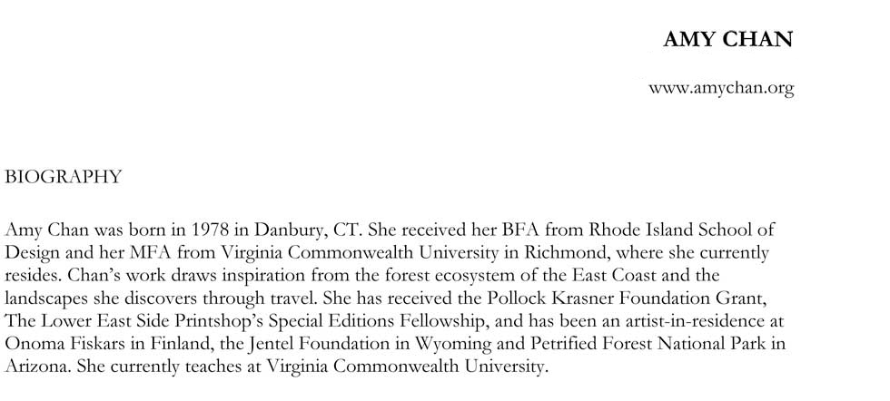 Artist Biography, 2011