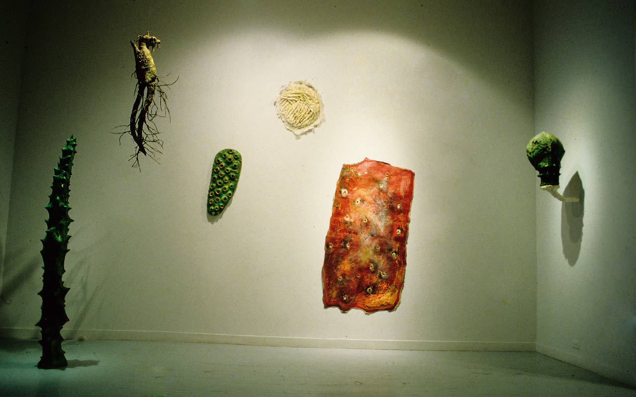 Body Spirit