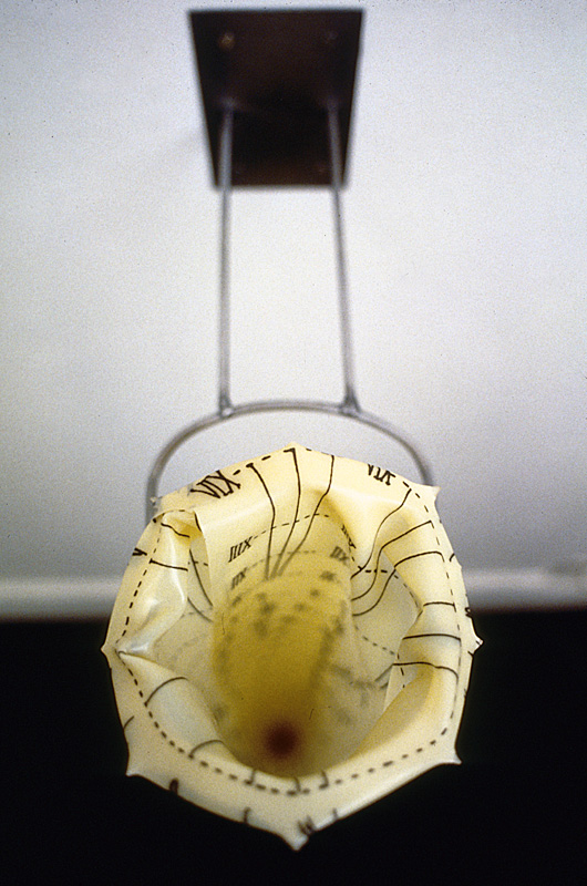 Esophagus (Detail)
