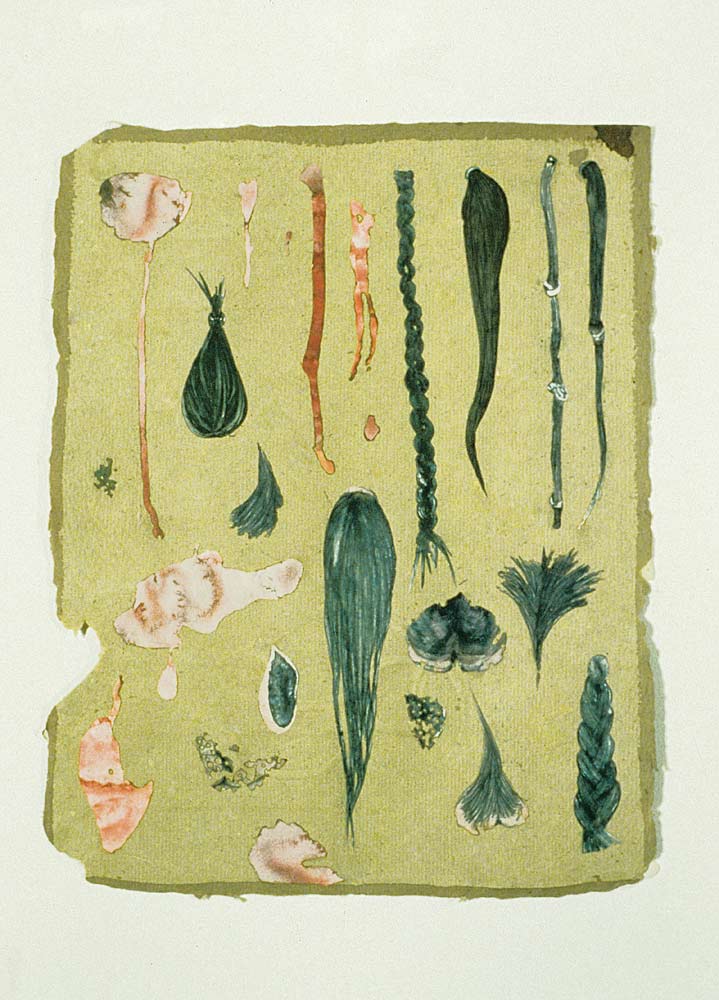 Ex-voto Series