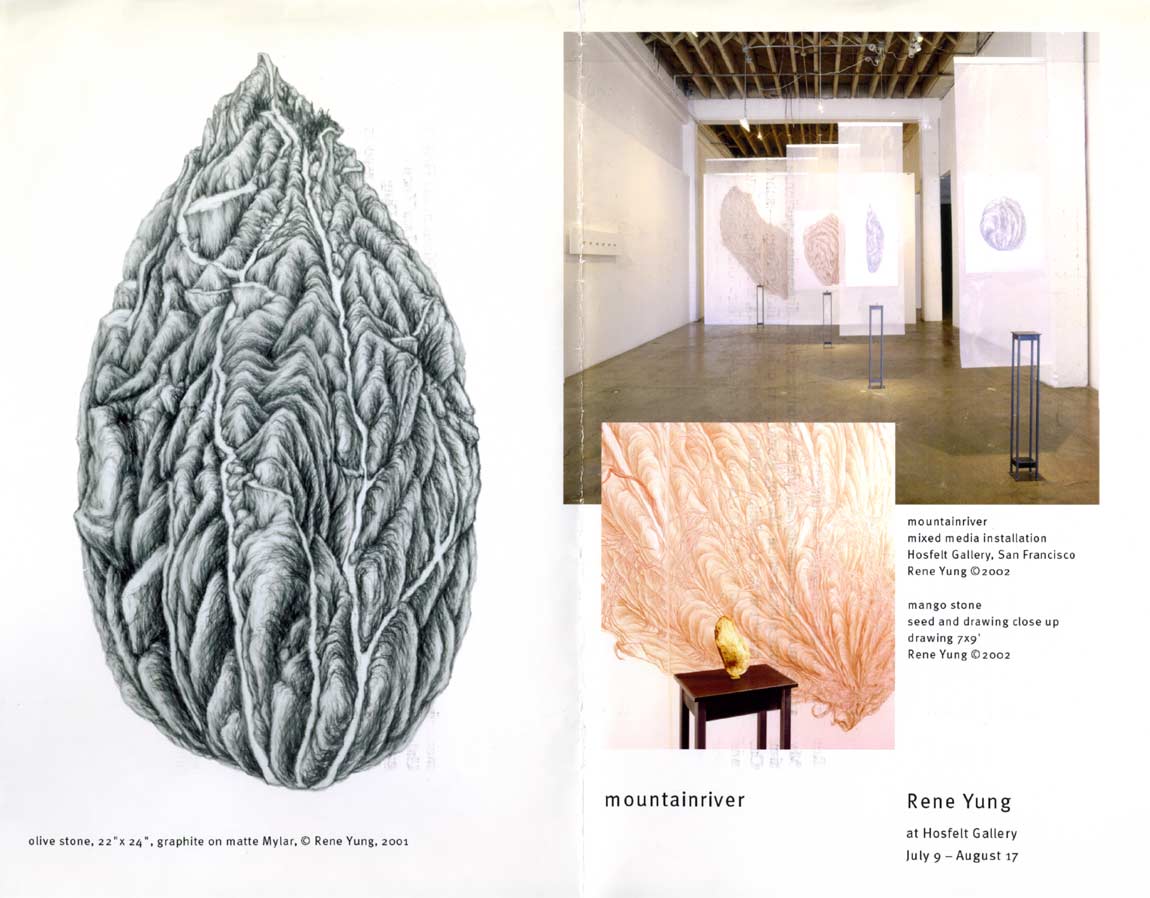 Rene Yung: mountainriver, flyer