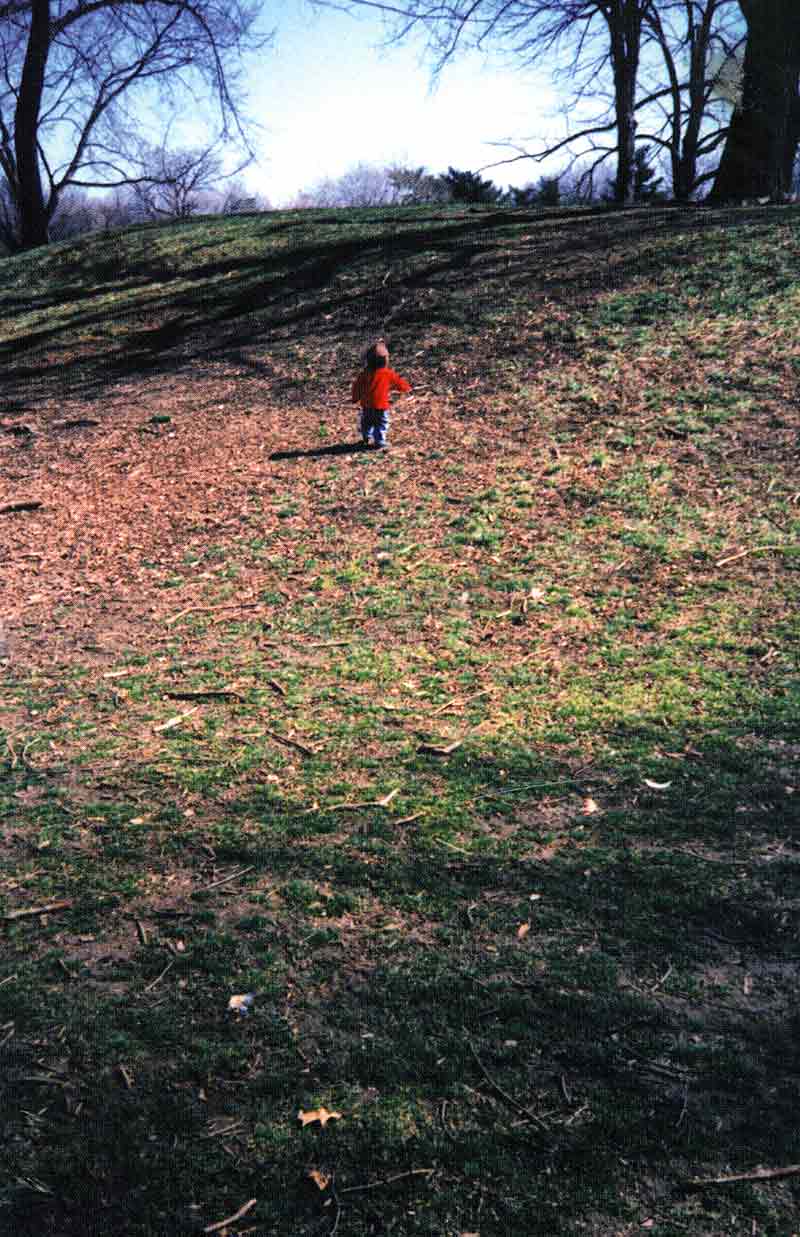 Byron Kim: I Wandered Lonely as a Cloud, postcard, pg 1
