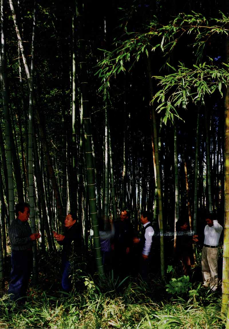 re-collection: Jason S. Yi, postcard, pg 1