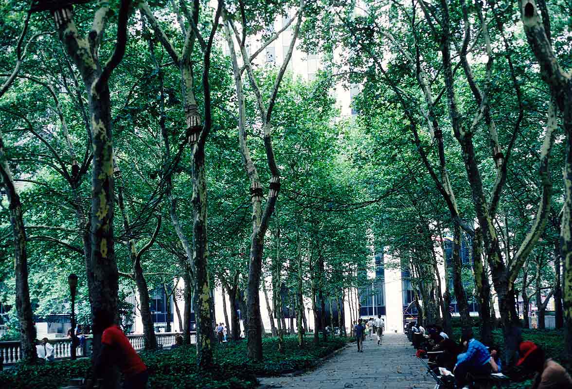 Nine Bridges In The Bryant Park