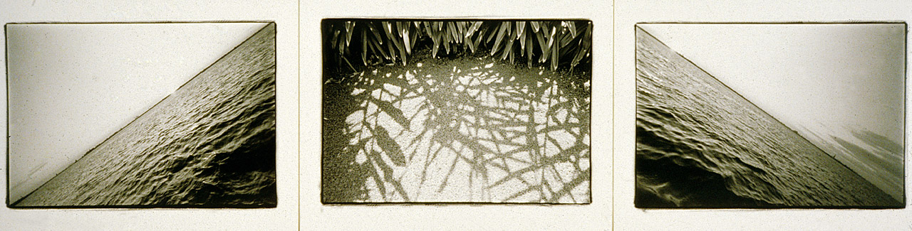 Noguchi's Garden