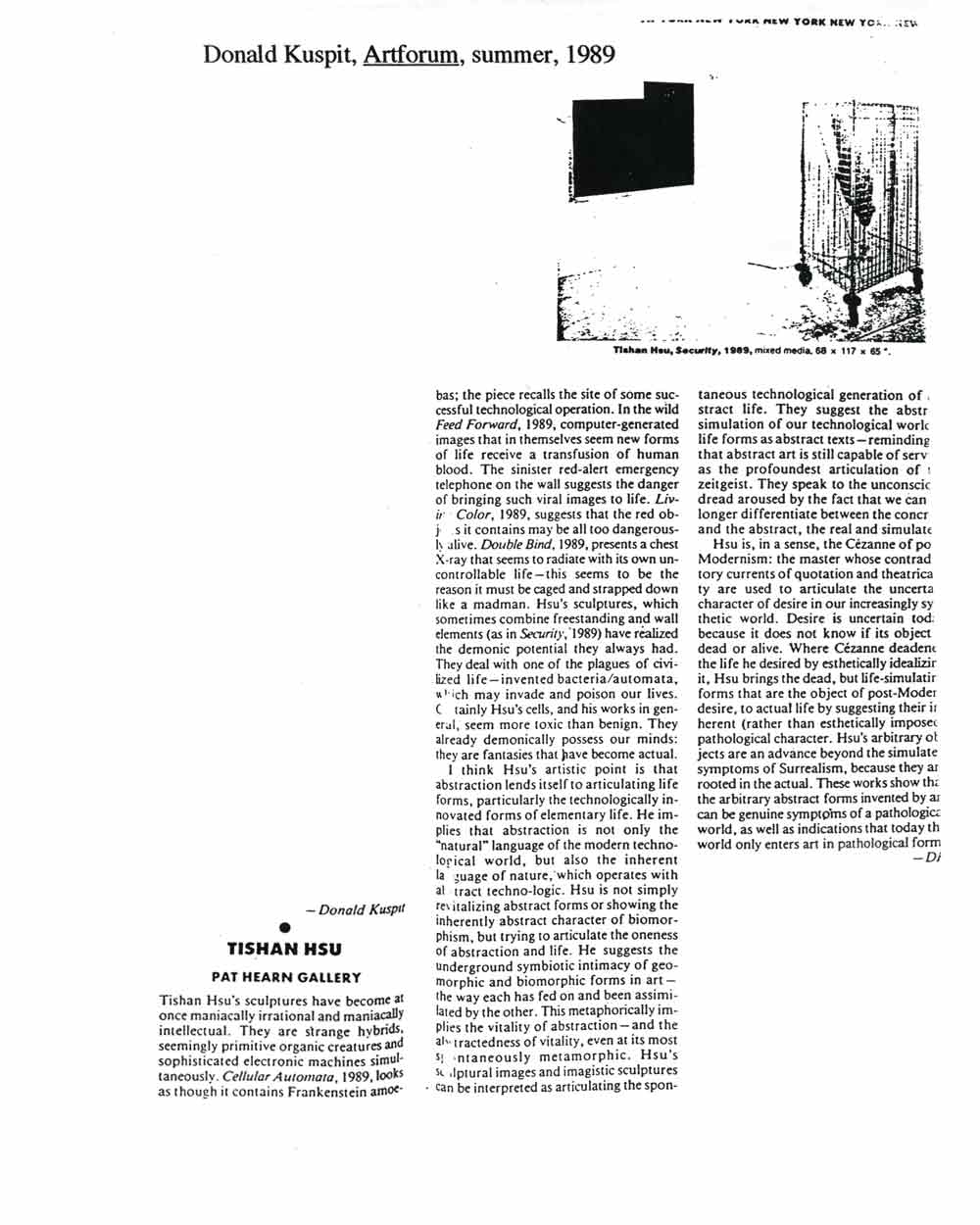 Tishan Hsu: Pat Hearn Gallery, article