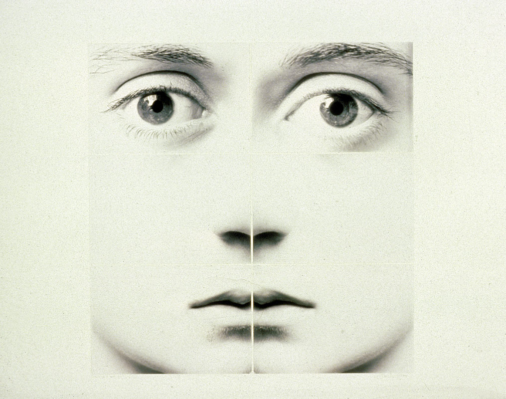 Six Part Face Series (Susan)