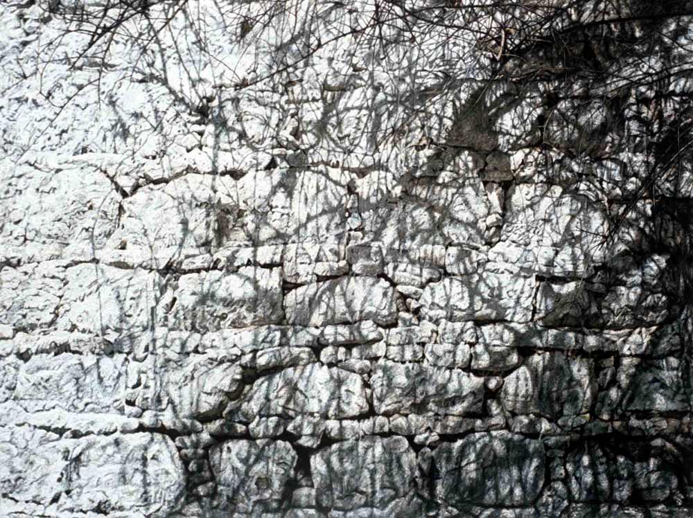 (Title Unknown)