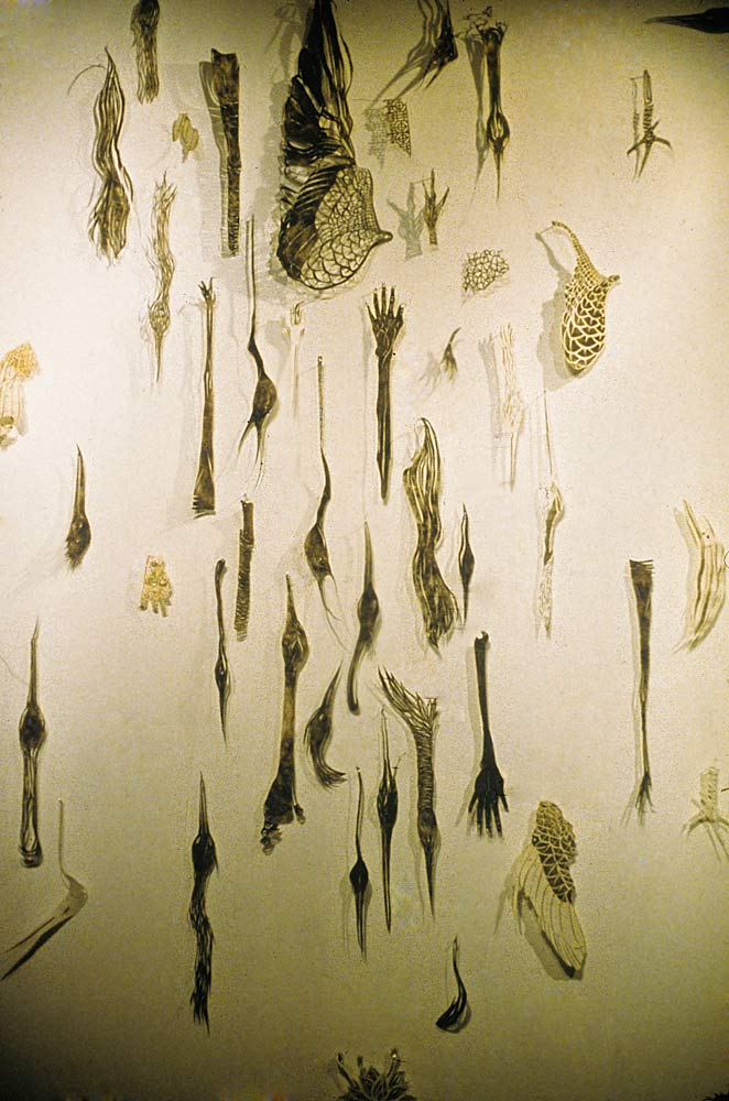(Title Unknown)