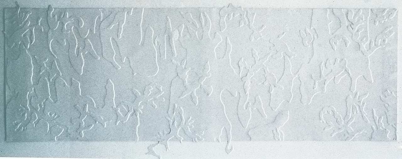 White Scroll: Camoflauge
